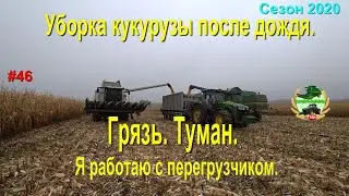Уборка кукурузы после дождя. Грязь.Туман. Я с перегрузчиком.