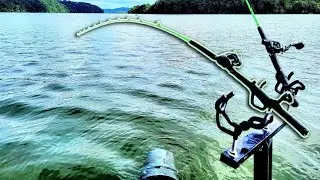 SHOCKING SURPRISE CATCH! What The Heck Did I Hook?