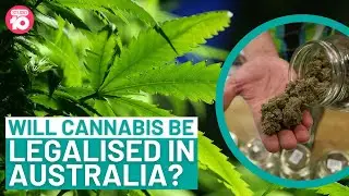 Will Cannabis Be Legalised In Australia? | Studio 10