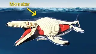 Model Showing the Inside of a Mosasaurus