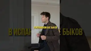 Стёпа участвует в испанском бое быков 🎹 