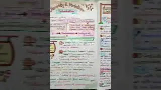 Heredity and Variation #genetics of Class 12 Biology Handwritten Notes 📚 #shorts | NEET | #neet