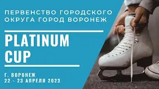 Первенство городского округа город Воронеж "Platinum cup"