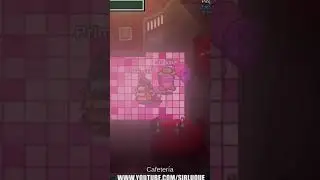 Fiesta en Skeld - Among Us custom map