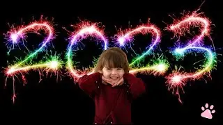 Video A Day for 2023 - Project 365