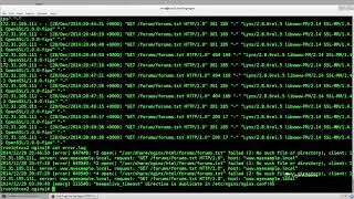 1 Logging Directives