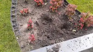 У Винниках на могилі Січових стрільців повиривали свіжонасаджені квіти