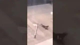 Windy