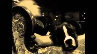 Tech Nomader - Domotica