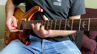 The Kids Aren't Alright (The Offspring) guitar solo - PRS Custom 22