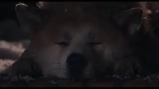 music for relaxing sleep, music for stress relief/ピースフル #7