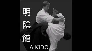 Meiinkan Aikido