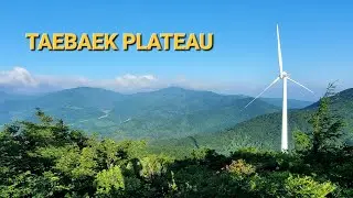 The Ridge of the Wind | Taebaek