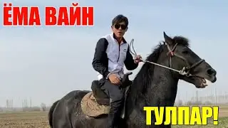 ЁМА ВАЙН / ТУЛПАР!