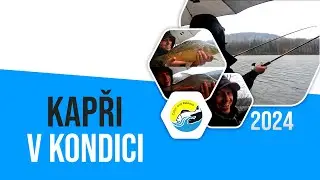 Kapři v kondici / sportovní rybolov 2024
