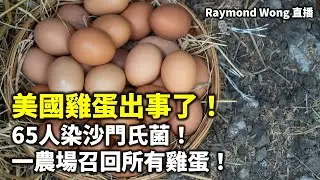 20240911 美國雞蛋出事了！65人染沙門氏菌！  一農場召回所有雞蛋！  |  Raymond Wong 直播