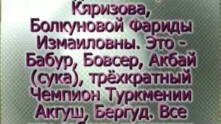 О фильме 