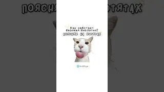 Как работает базовая биология?