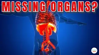 What Happens to the EMPTY Space After Organ Transplant?