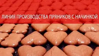 Линия производства пряников с начинкой