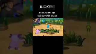 Шок!!!! в сеть слили как тренируется симпл 