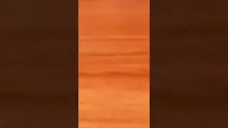 МЕМ ПАПУГАЙ КОРЕЛЛА ПРОТИВ СТУЛА🤣😂ПОДПИШИСЬ ПОЖАЛУЙСТА:)♥️ 