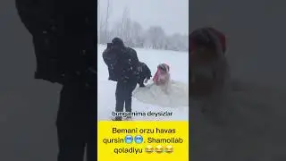 Ikki yoshga tilaklaringiz🤣. 