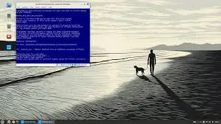เสียงถุ้ย has BSOD VM (VBox on Linux test)