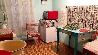 Заготавливаю подножный корм.А почему вы скоро узнаете !!