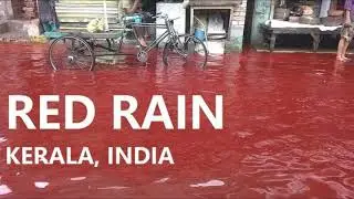 Blood rain in Kerala unknown fact