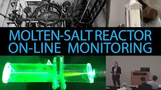 Molten-Salt Reactor On-line Monitoring (Presentation+Interview) Amanda Lines of PNNL @ ORNL MSRW