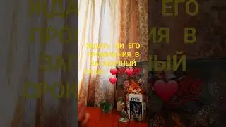 ЖДАТЬ ЛИ ЕГО ПРОЯВЛЕНИЯ В ЗАГАДАННЫЙ СРОК? 