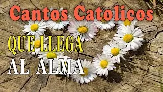 CANTOS CATOLICOS  QUE LLEGA AL ALMA 2023  ALABANZAS DE ADORACIÓN 2023