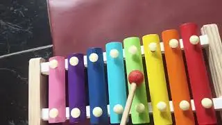 Xylohpone anak dari Shopee|How to play Twinkle Little Star on a Xylophone - Easy Songs-tapibukan sih