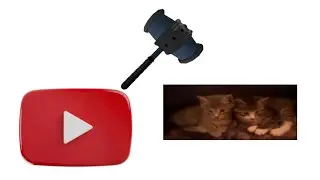 YouTube struck down my most popular video