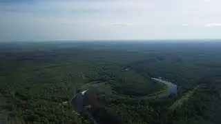 Фролищи