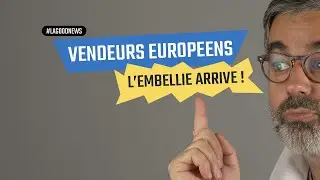 E-commerce Européen, vendeur Amazon FBA, l'embellie arrive depuis la douane avec ICS2