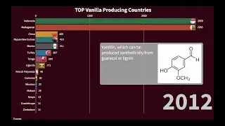 Top Vanilla Producing Countries + Interesting Facts About Vanilla