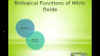Nitric Oxide // WellBeingGPS.com