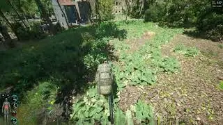 SCUM Wolf Pops up from the Ground!