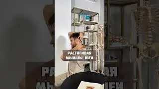 Эффективное упражнение на УДЛИНЕНИЕ ШЕИ