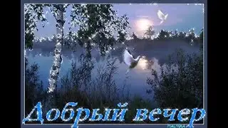 Добрый вечер