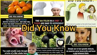 Fact  status |Amazing Facts That You Should Know | Did You Know Facts ?|Fact stastus #fact