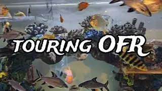 Touring OFR