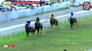 Hippisme - 19ème journée - La 3ème course en direct