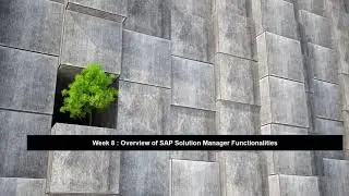 Overview of SAP Solution Manager Functionalities