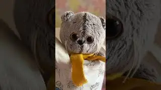 Басик Василий тоже хочет гулять. 