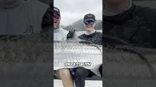 HUGE SEA MONSTER 😱 #shorts #shark #thalassophobia #creatures #viral