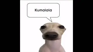 Kumalala Everyday  (Day 28)