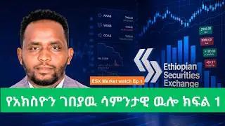 የኢትዮጵያ አክስዮኖች ያሳለፍነዉ ሳምንት አፈጻፀም/የትኛዉ አክስዮን አትራፊ ነበር/የትኛዉስ አክስዮን ደከመ/ሳምንታዊ ምልከታ/ESX MARKET WATCH EP 1